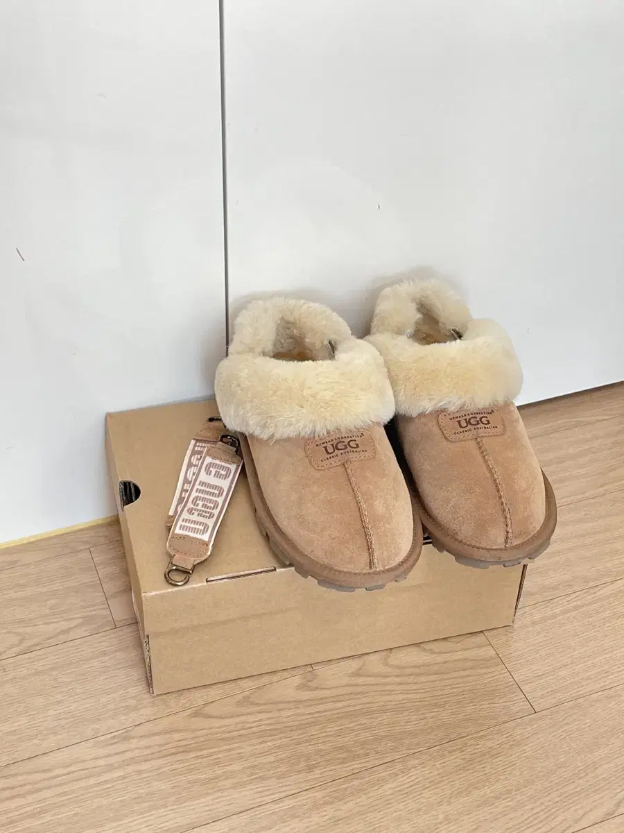 Ugg 슬리퍼(250)